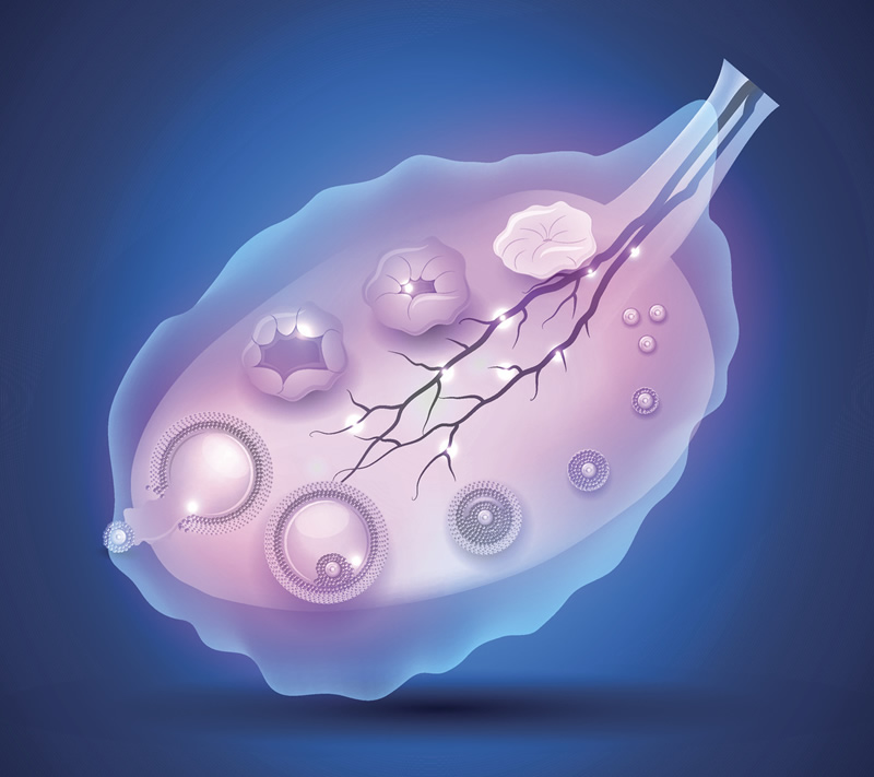 泰国三代试管技术如何？泰国有哪些推荐的试管医院？